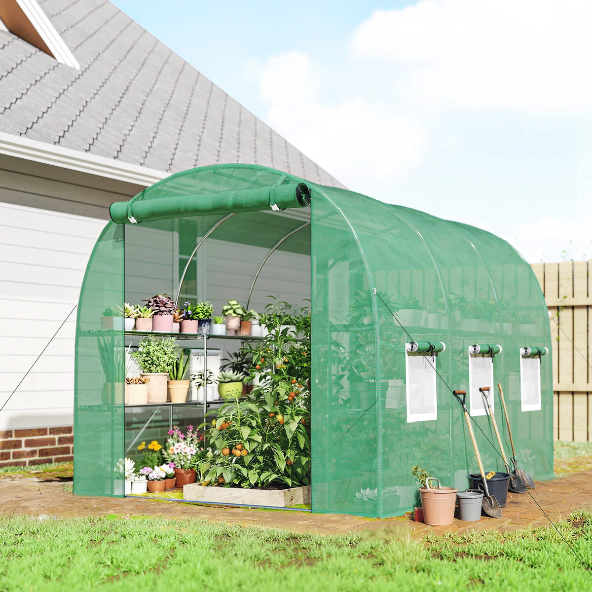 Green walk-in greenhouse polytunnel with shelves, open roll-up door, and mesh windows