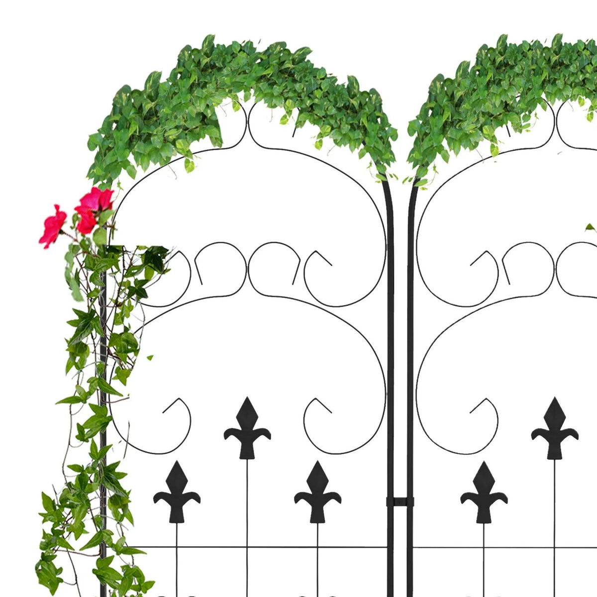 Black metal trellis set with arched top scrollwork and leafy climbing vines on frame