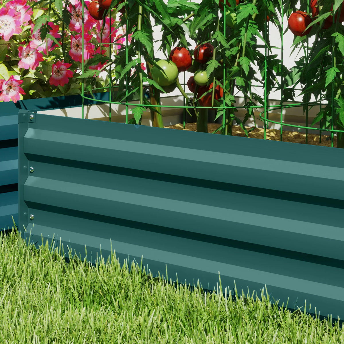 Green raised planter box side panel with tomato plants growing inside