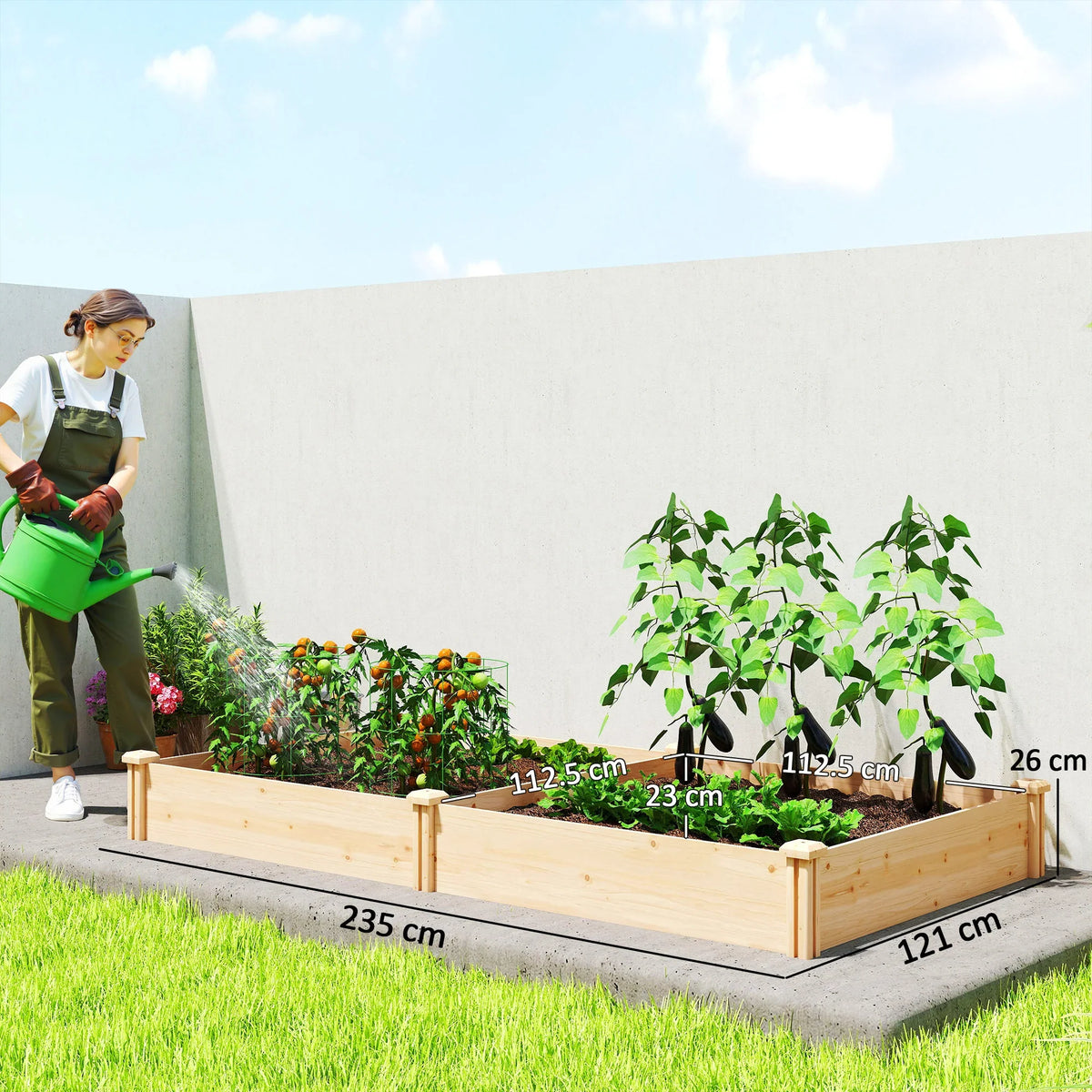 Raised wooden planter bed with divider, open-bottom base, holding dense garden plants