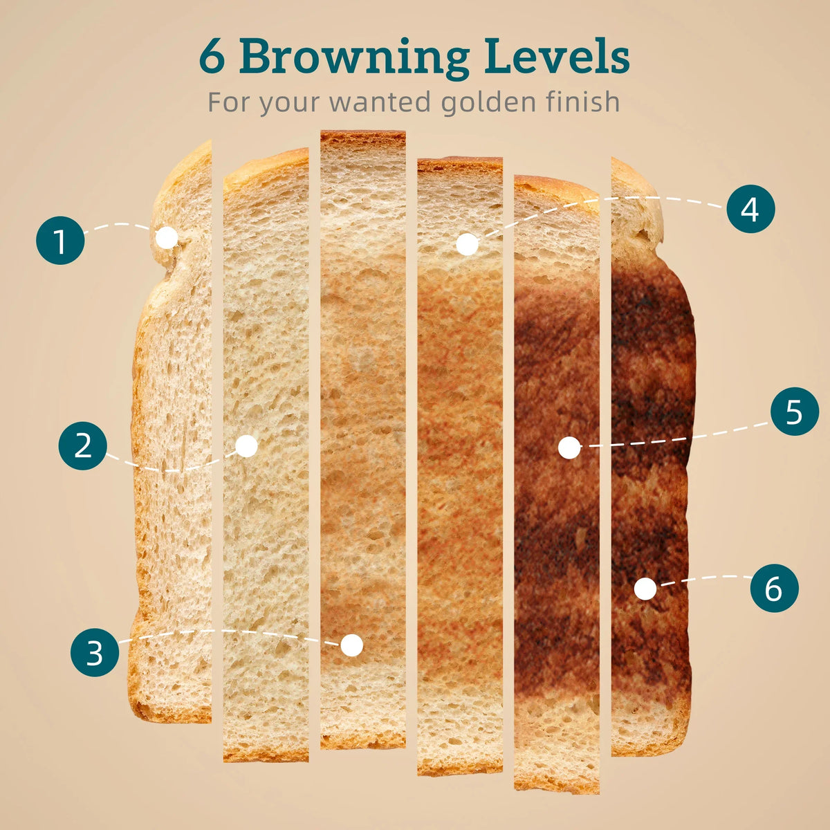 Browning level guide showing six toasted shades of sliced bread in rows.