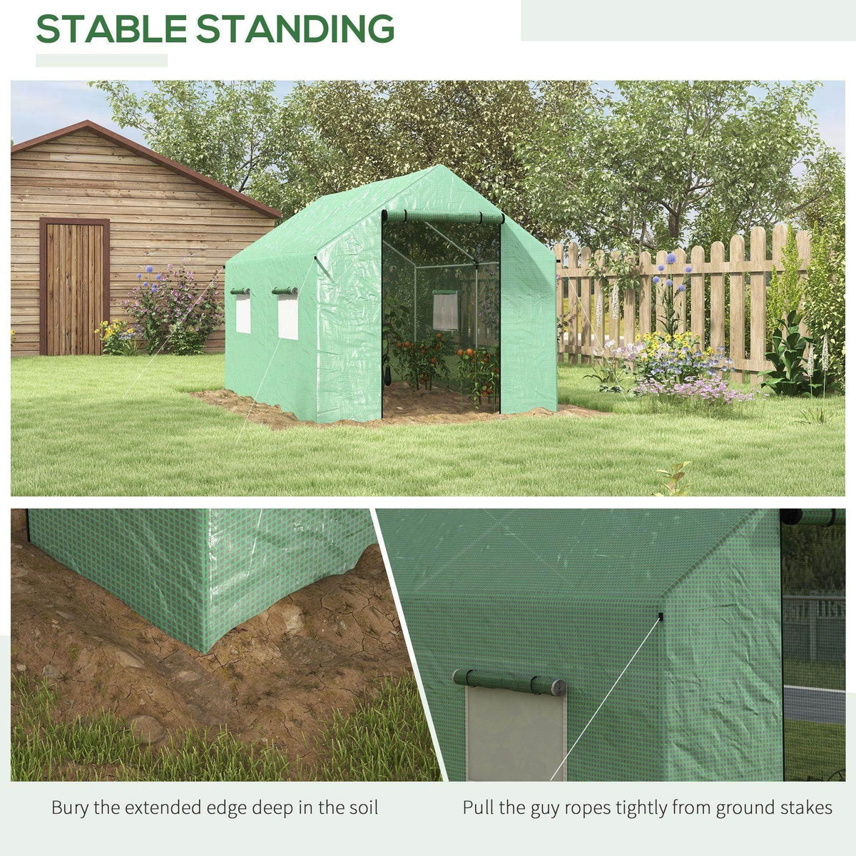 Green polyethylene walk-in greenhouse with guy ropes and extended base edge for stability