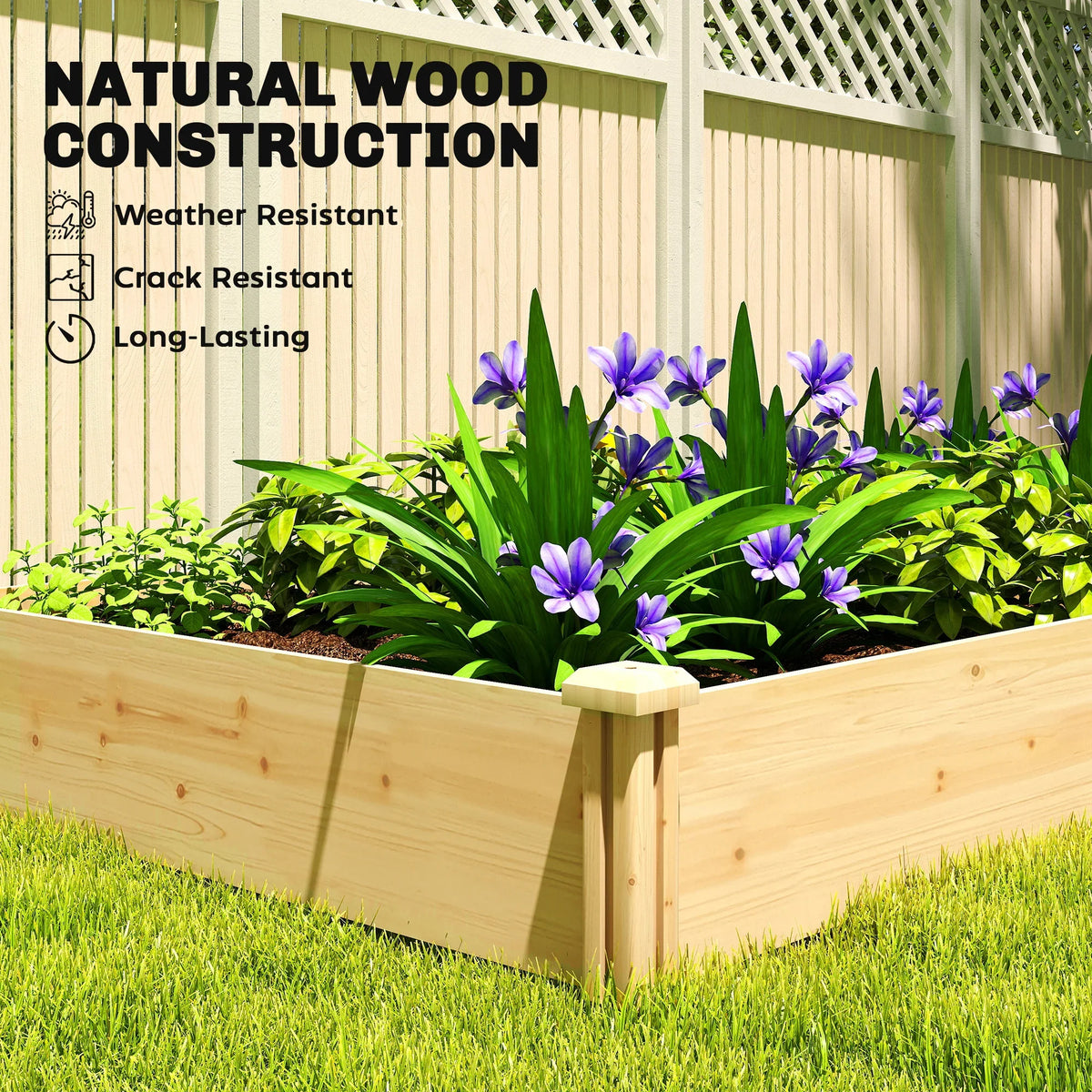 Raised wooden planter box with divider, natural wood sides and purple flowers in soil