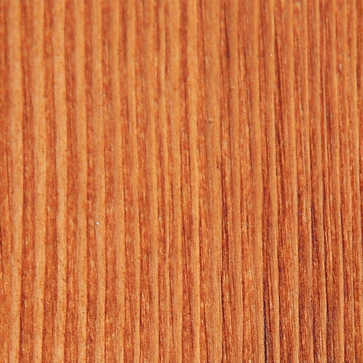 Rich warm wood grain texture for home furniture and garden decor