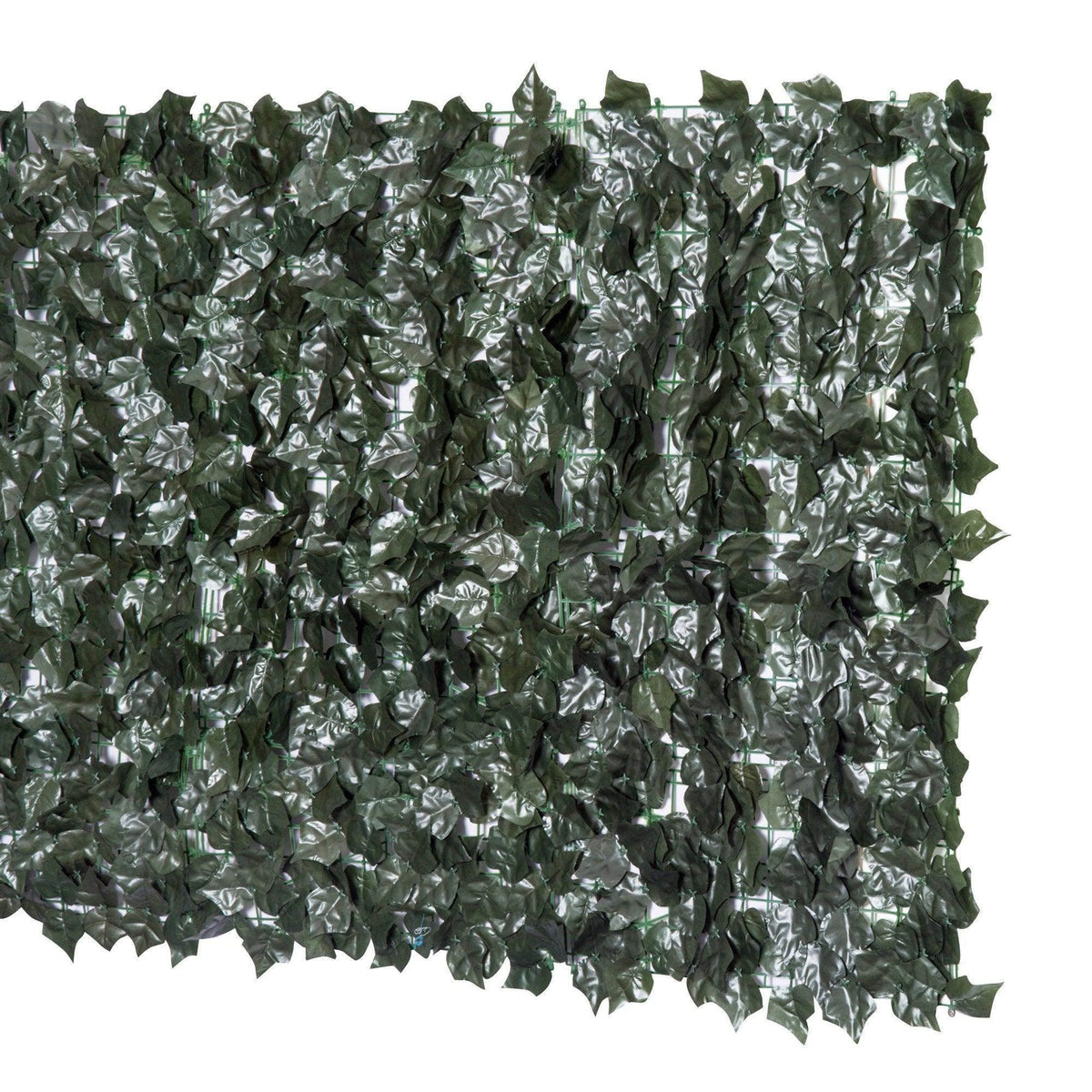 Dense dark green leaf hedge panel with crinkled leaf texture and layered tips