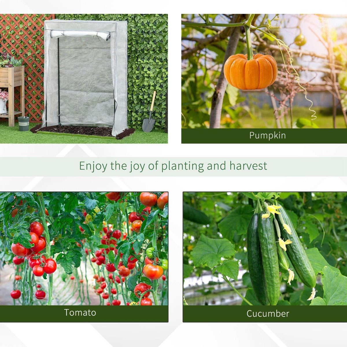 Outdoor greenhouse cover with open roll-up door panel and anchored base skirt