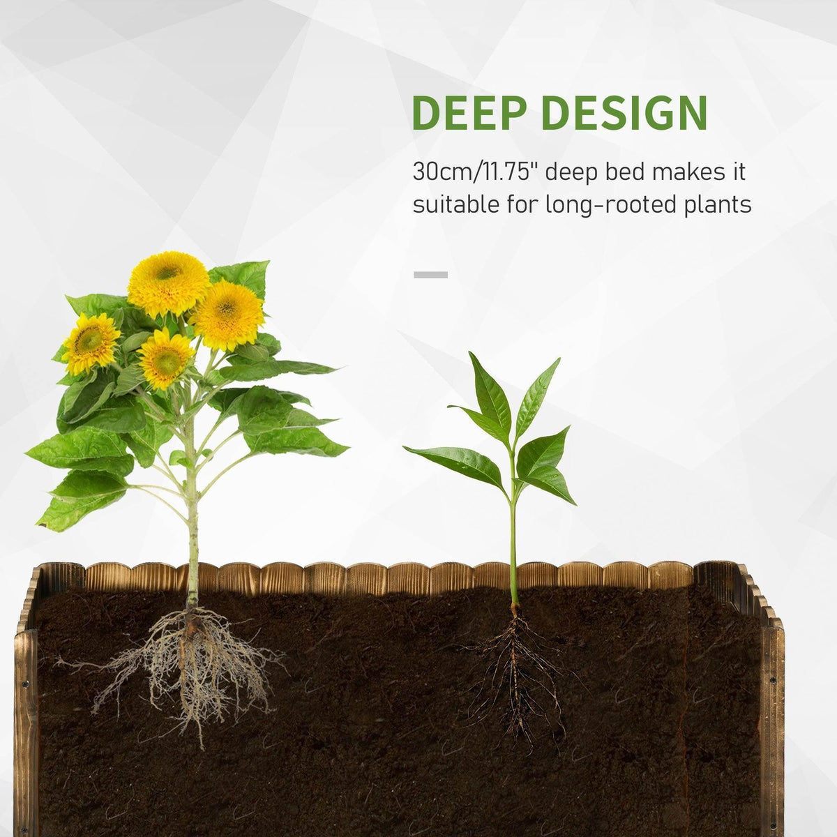 Deep wooden raised garden bed with dark soil and two small seedlings.