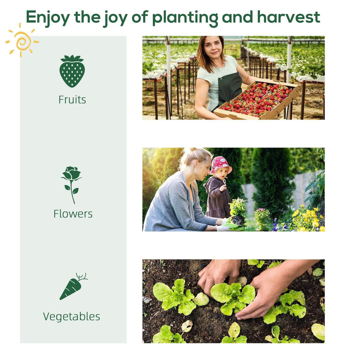 Planting and harvest infographic with fruits, flowers, and vegetables icons