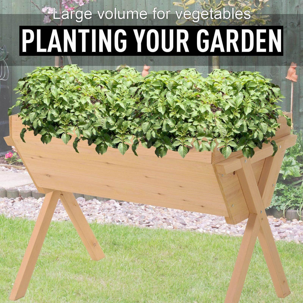Outsunny raised garden bed box filled with leafy greens, natural wood frame and black liner