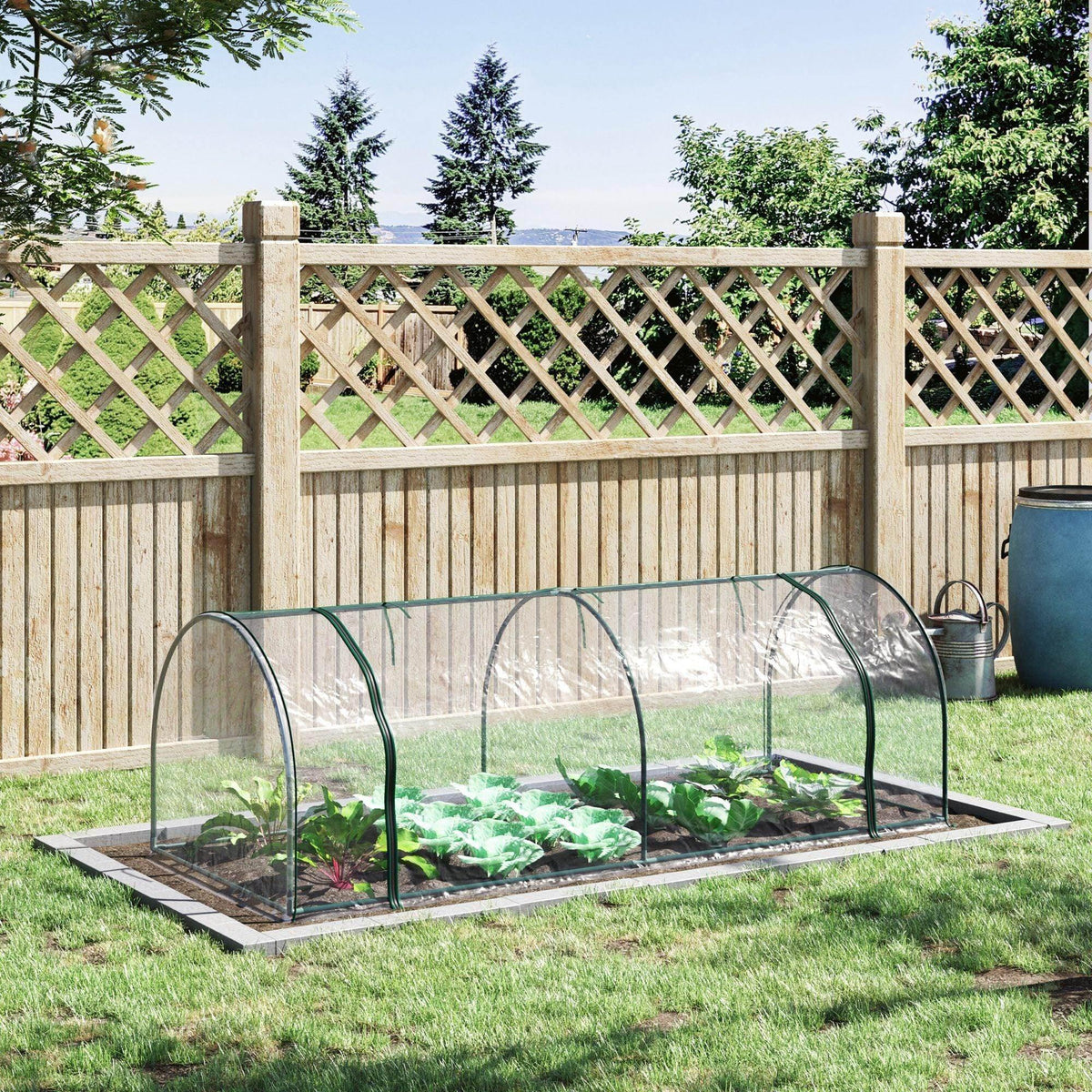 Transparent tunnel greenhouse with clear cover and green metal frame on raised base