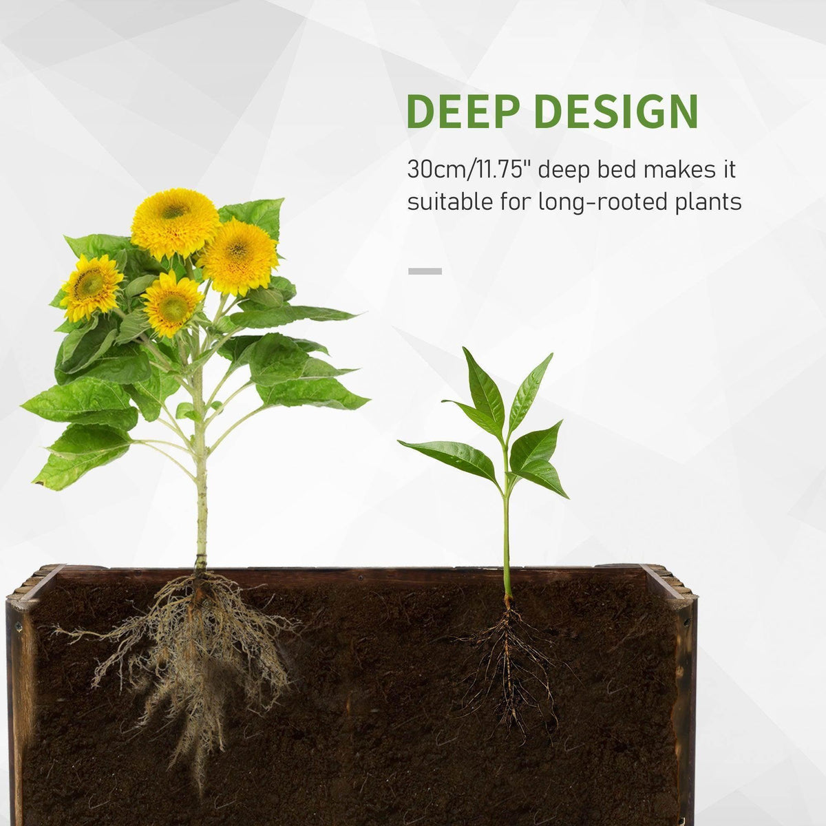 Deep wooden raised garden planter bed holding two young plants in soil