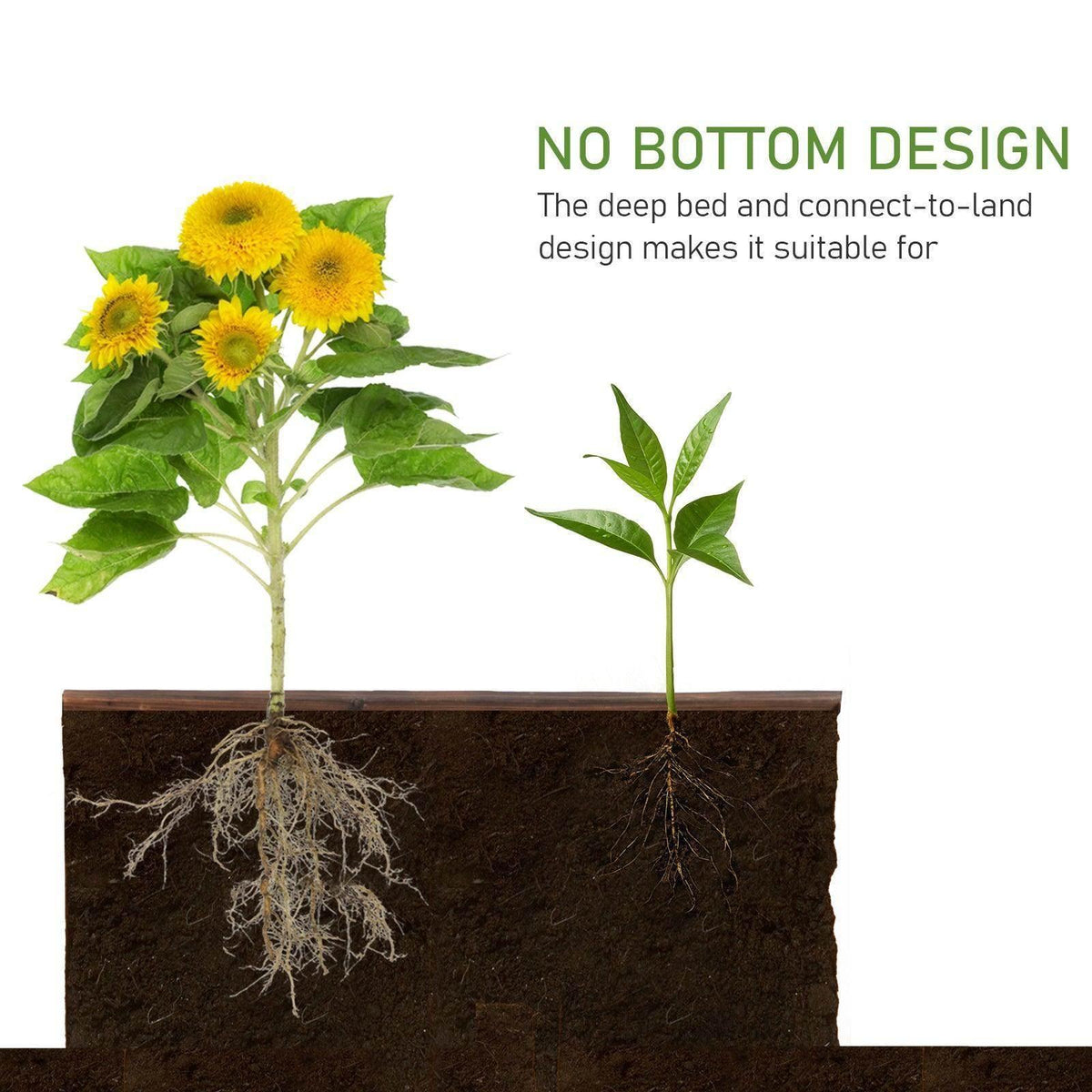 Wooden raised planter bed showing soil depth with roots of plants visible; no bottom section