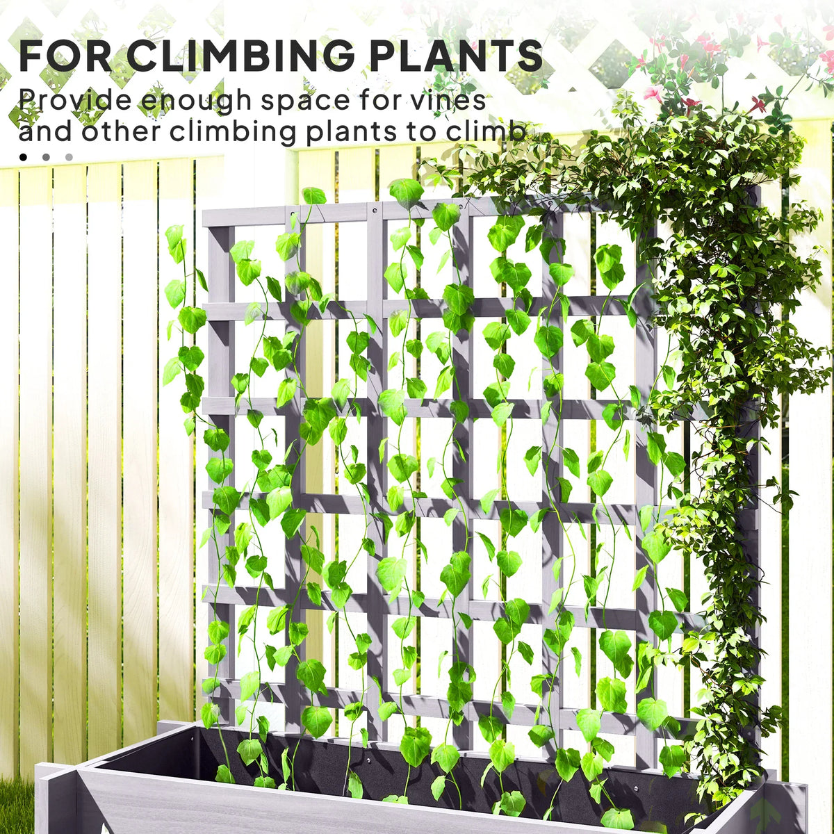 Grey trellis garden planter with climbing vine foliage on the grid panels