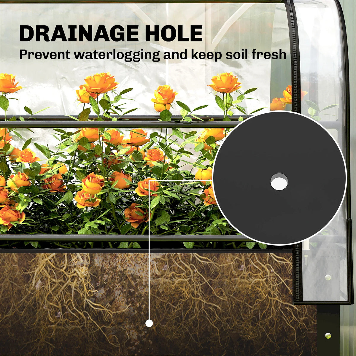 Clear greenhouse cover raised planter with drainage hole on black frame