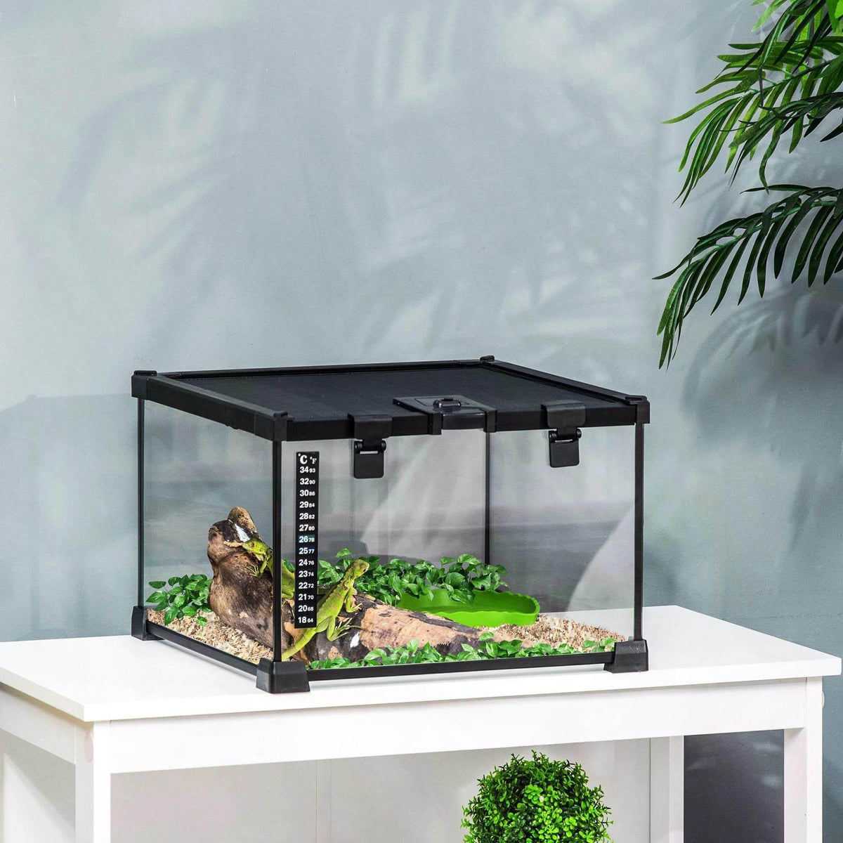 Black glass reptile terrarium with green water dish and thermometer on the front side