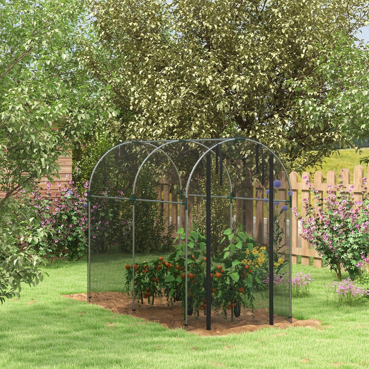 Black steel plant protection tent with zipped door and arched mesh frame over plants.