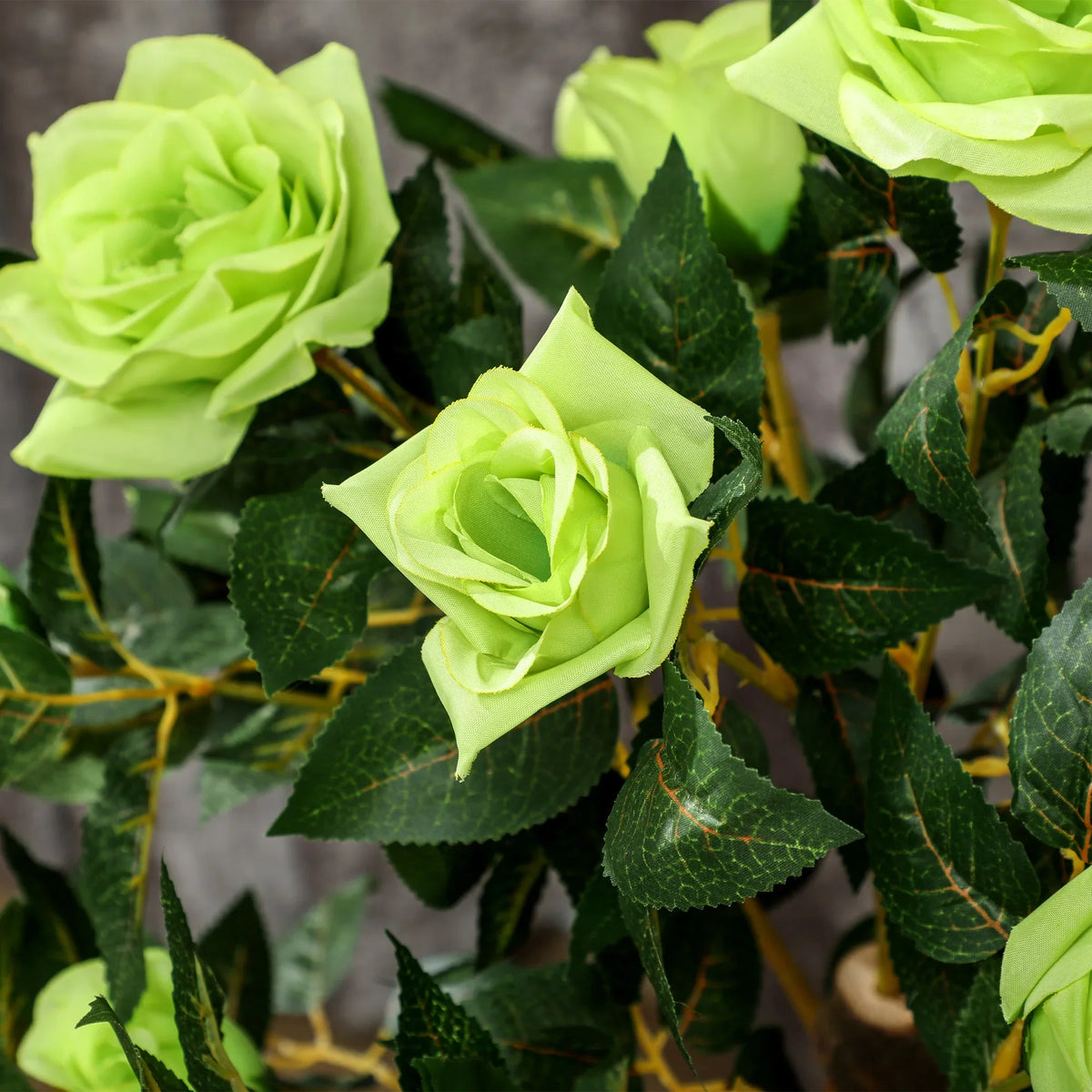 Close-up of light green artificial rose blossoms with textured dark green leaves