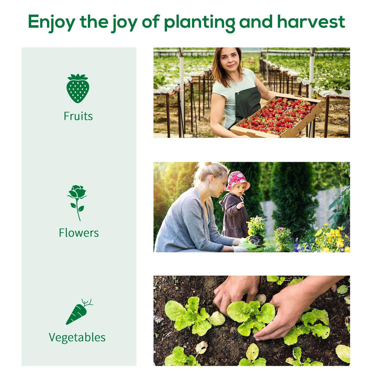 Garden planting scene with polytunnel benefits icons for fruits, flowers, and vegetables