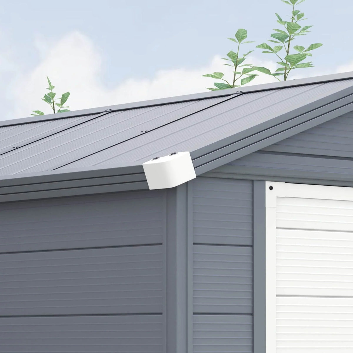 Grey shed roof edge with side eave vent and white trim near the door frame