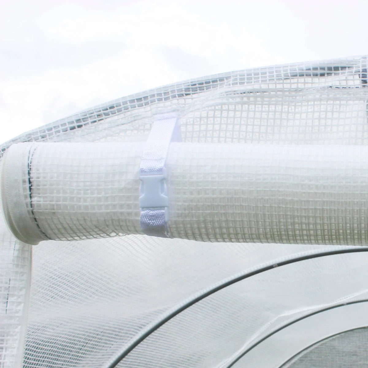 White PE greenhouse cover with rolled fabric sleeve and fastening straps at the frame end