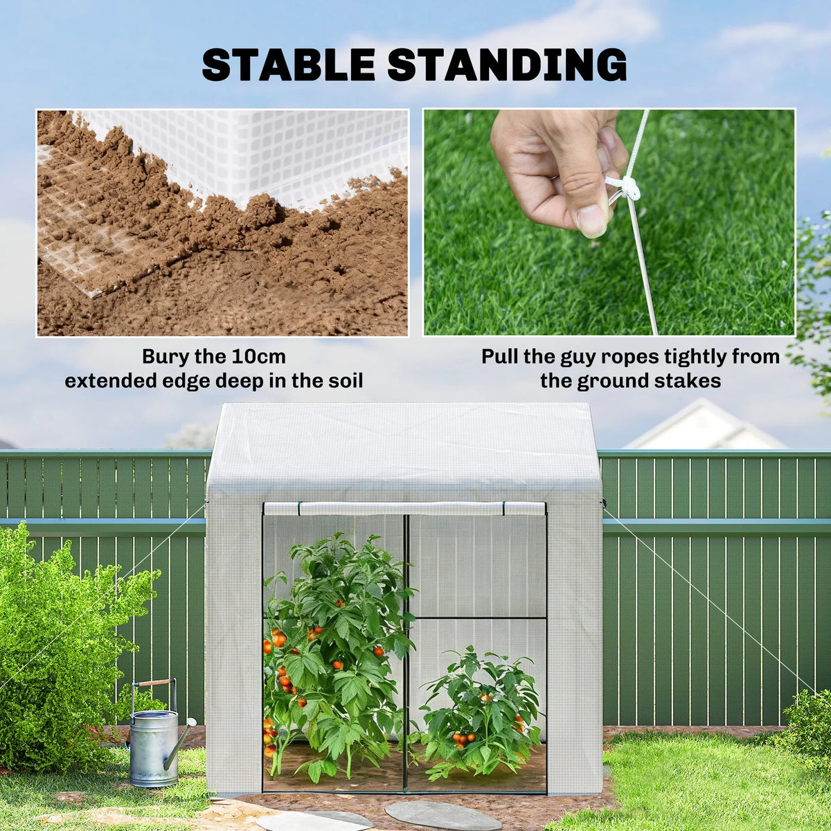 White greenhouse with PE cover stabilized by ground stakes and guy ropes