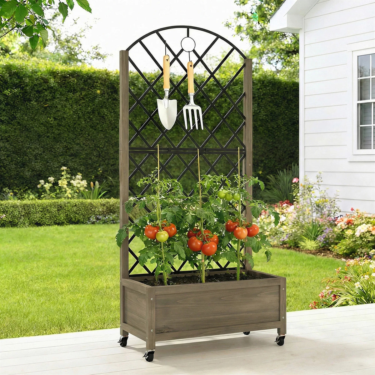 Raised planter with metal trellis, diamond lattice, tomatoes and hanging gardening tools