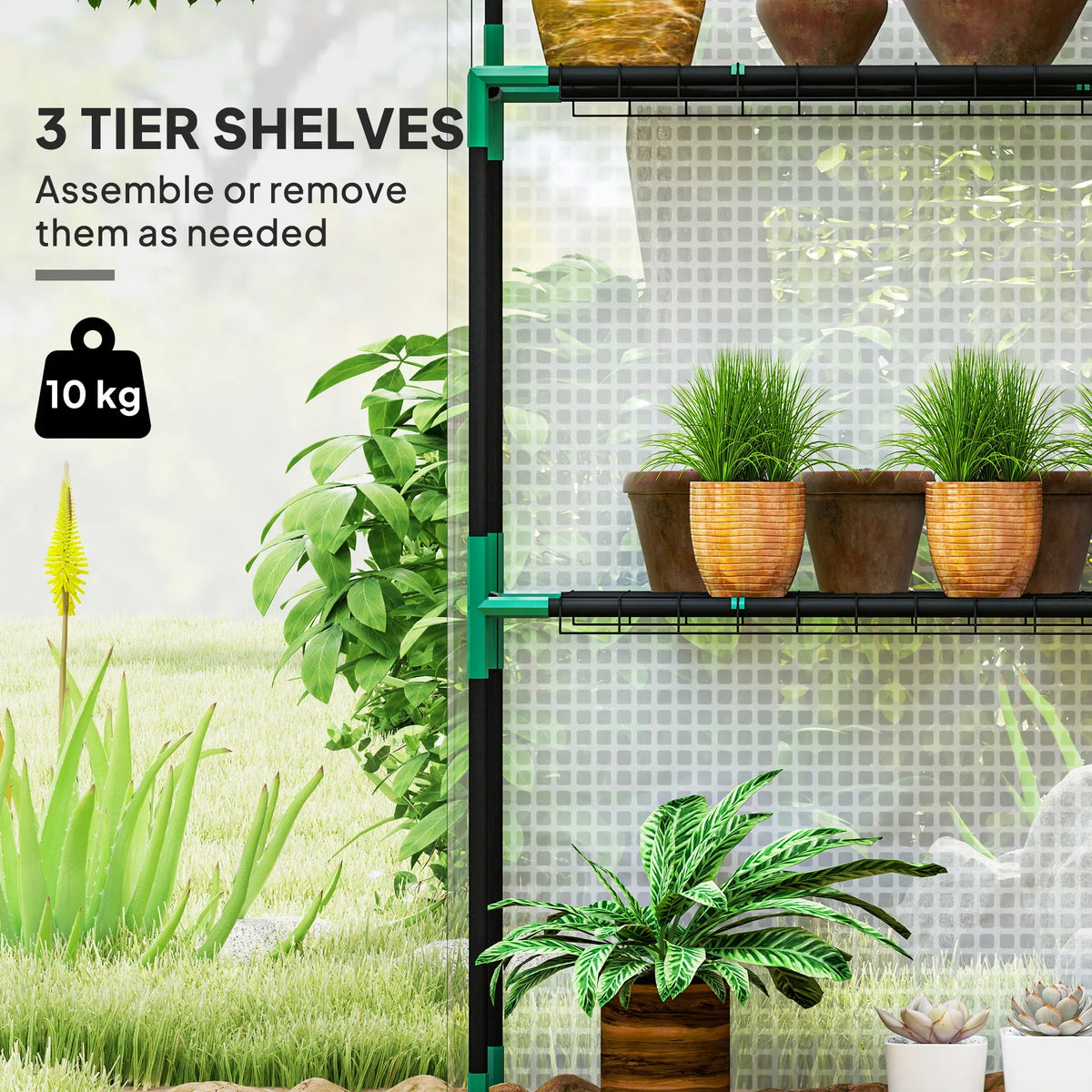 Greenhouse interior with white cover and three-tier wire shelves holding potted plants