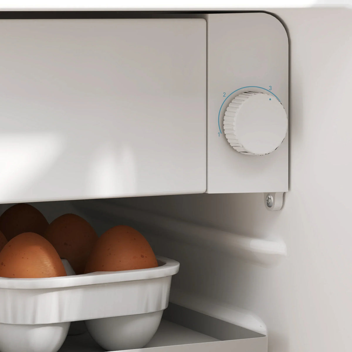 Lockable mini fridge thermostat dial on inner door above egg storage bin.