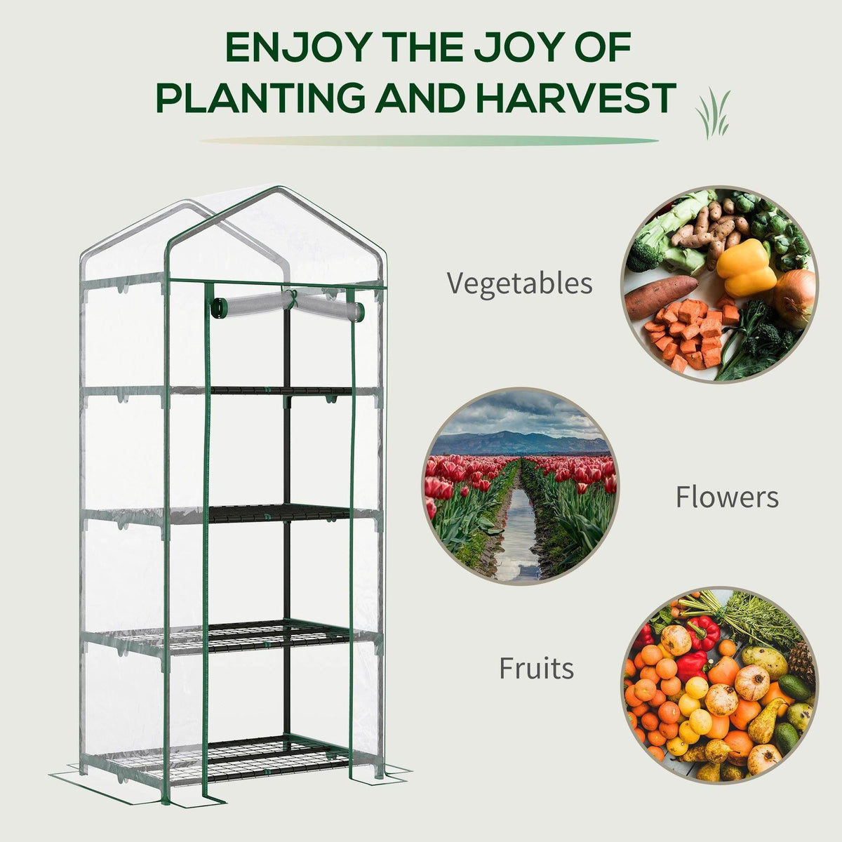 4-tier mini greenhouse with green frame and clear cover, standing with multi-level plant shelves