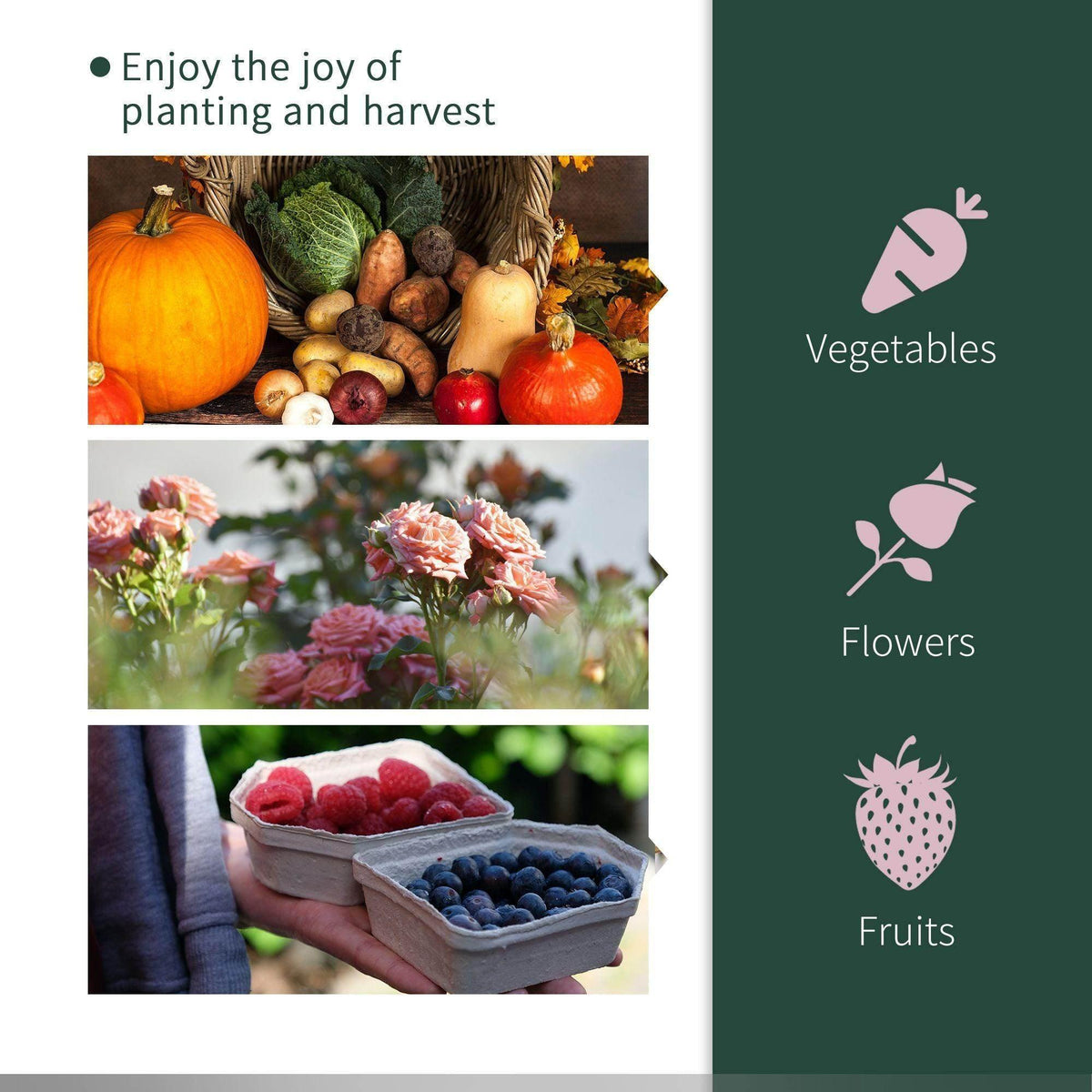 Greenhouse cover use graphic showing plants, vegetables, flowers, and fruits