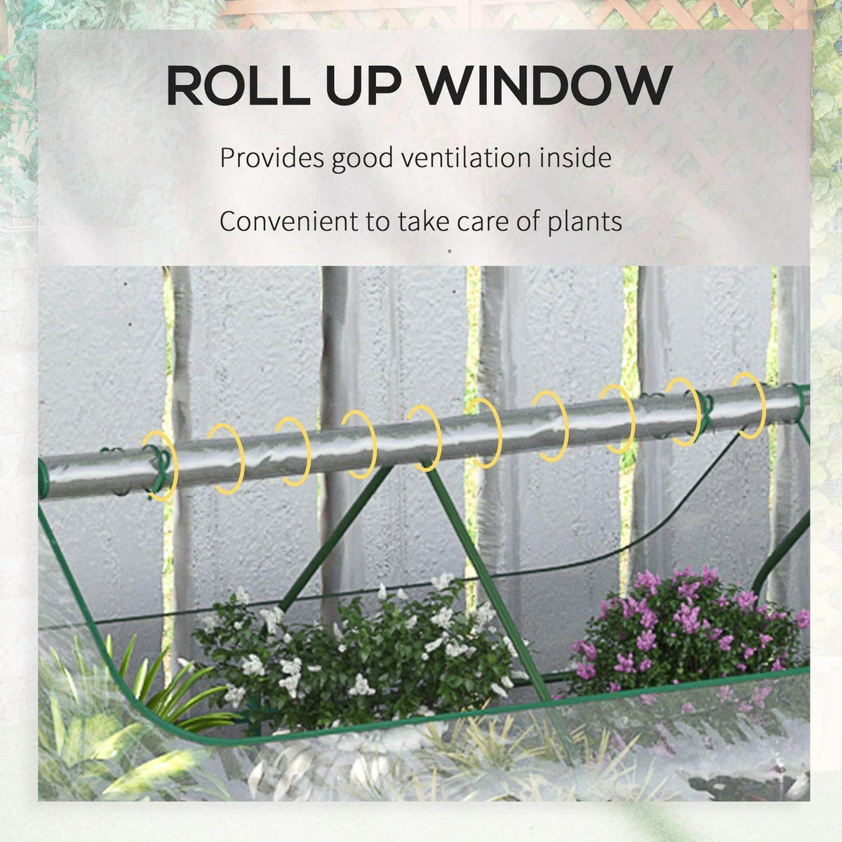 Greenhouse roll-up window section with clear cover, open for ventilation.