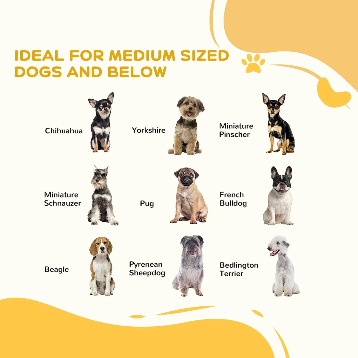 Dog breeds lineup illustration for foldable dog gate sizing.