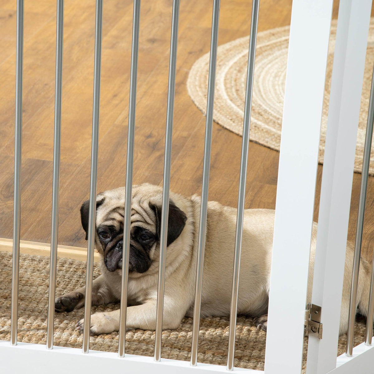 Small pug behind a white dog gate with vertical safety bars.