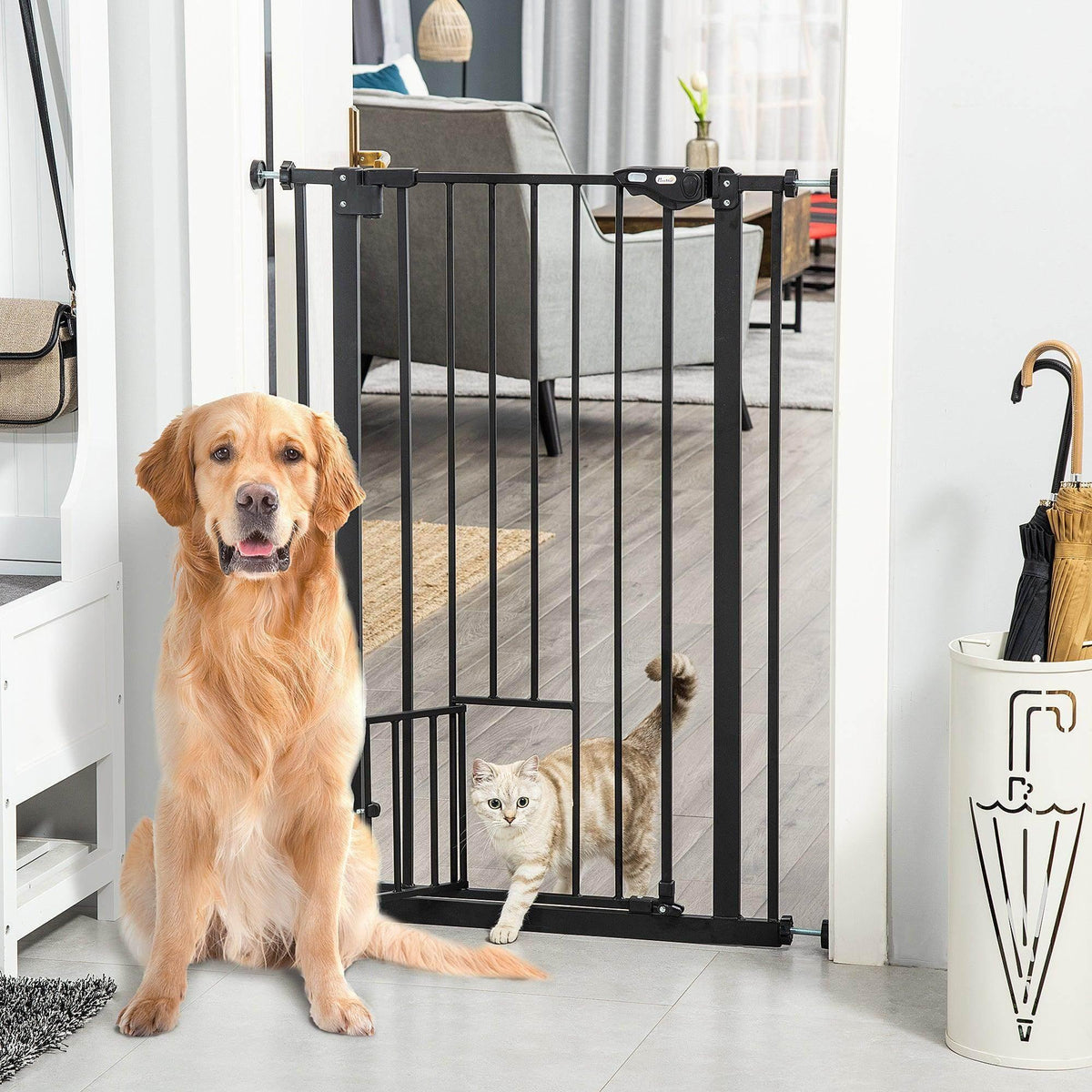 Black pet gate with cat door, standing double-bar enclosure for dogs and cats in doorway