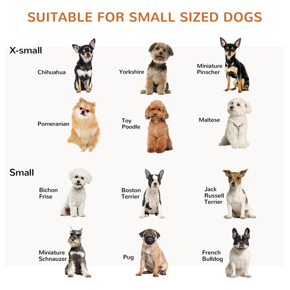 PawHut dog gate sized for small dogs, shown with multiple small breed silhouettes