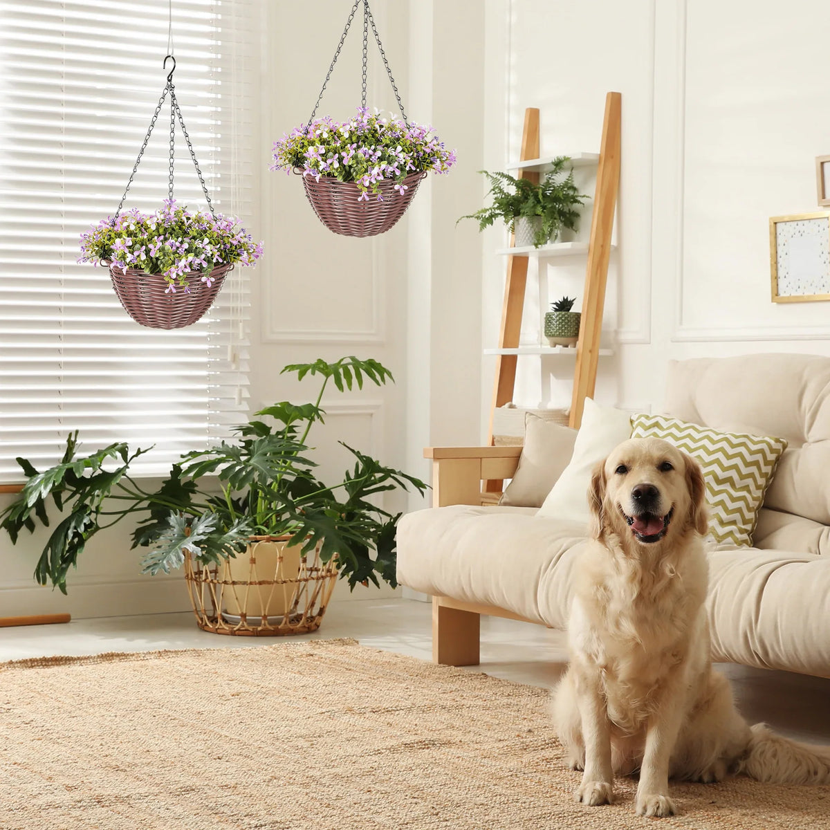 Set of 2 hanging baskets with purple faux flowers and green leaves above a couch with a dog