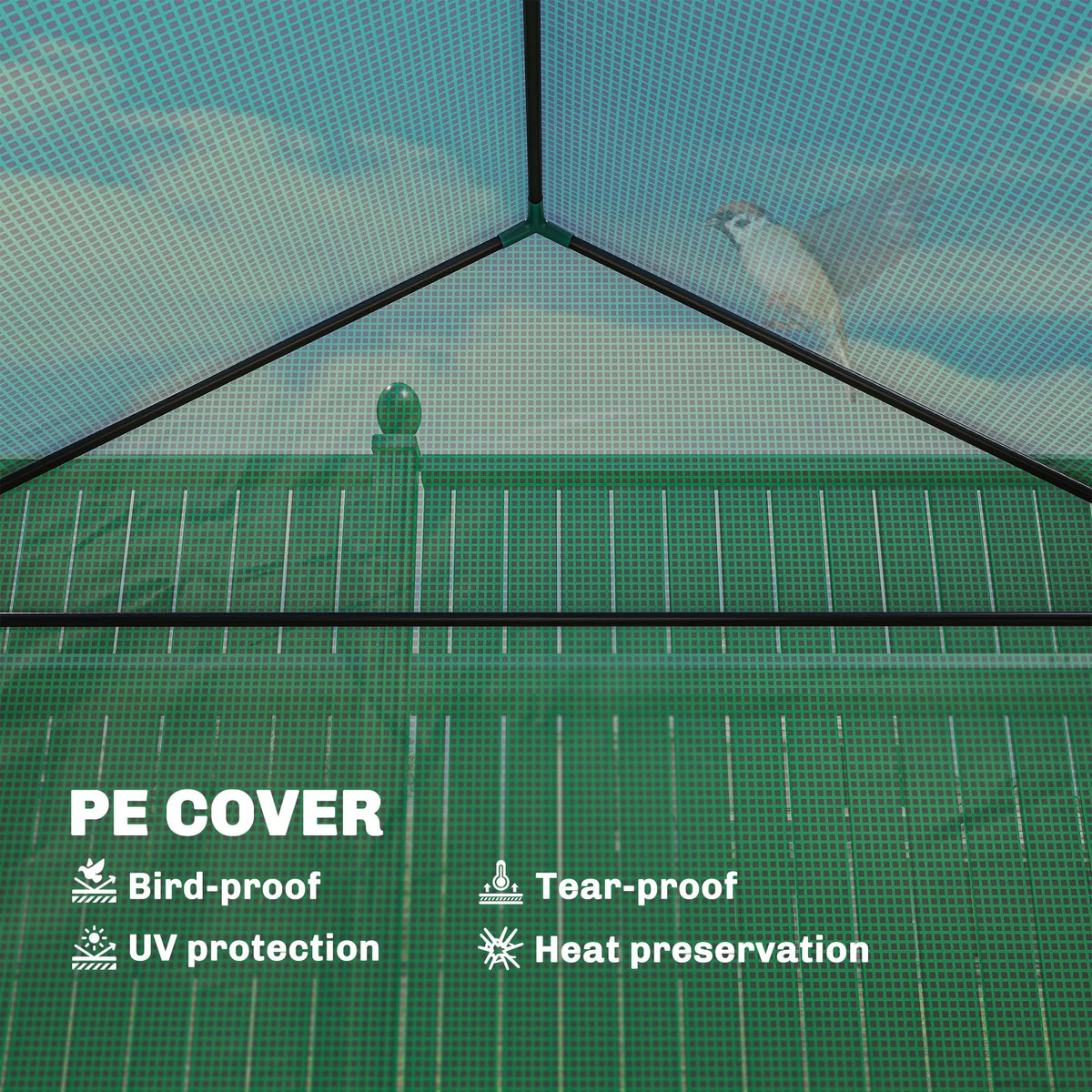 Green greenhouse interior showing PE cover roof panels and framing above raised bed