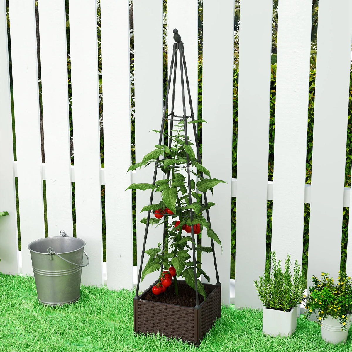 Raised trellis planter box with dark brown container and tomato vines climbing on the frame