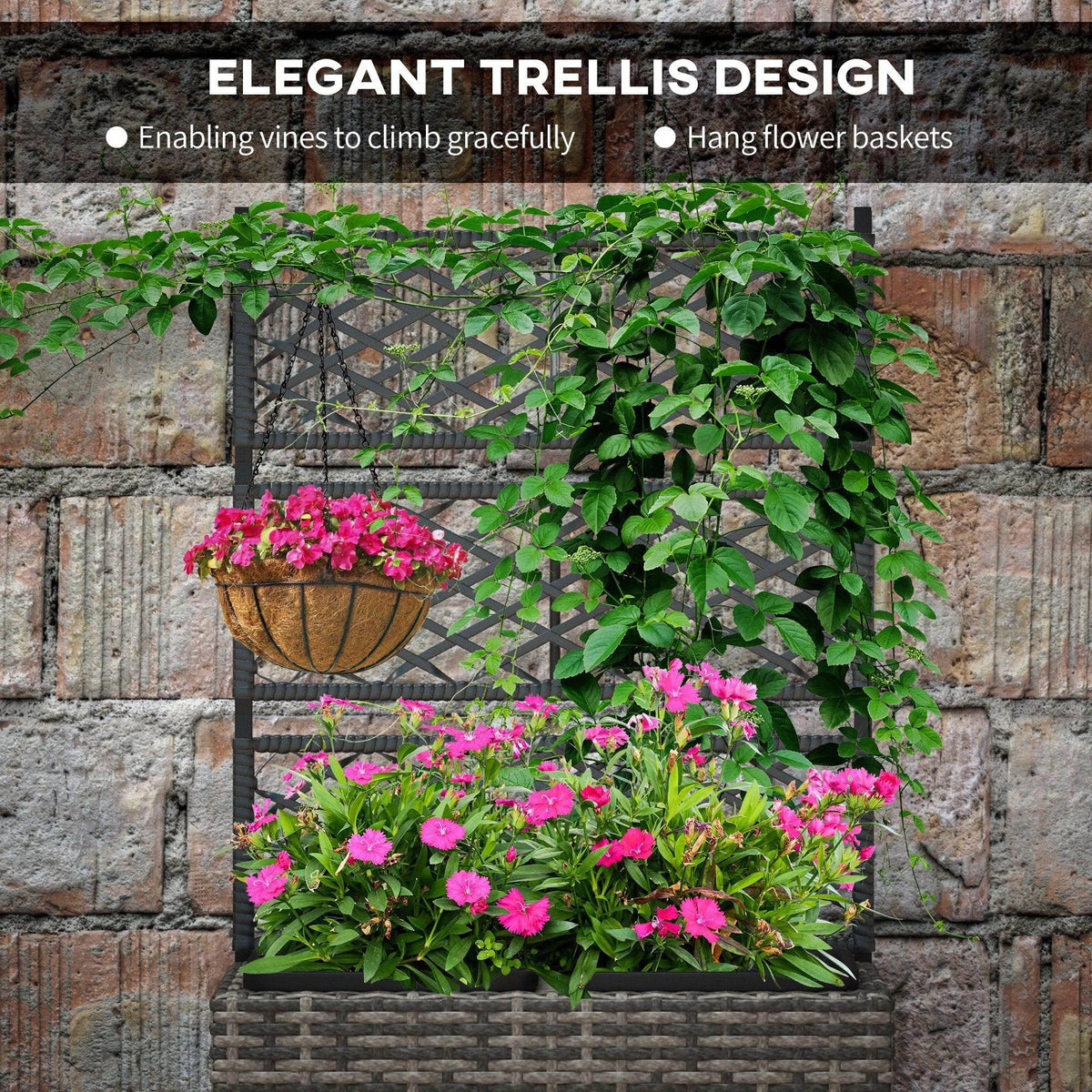 Grey rattan raised planter with black trellis, green vines and pink flower display