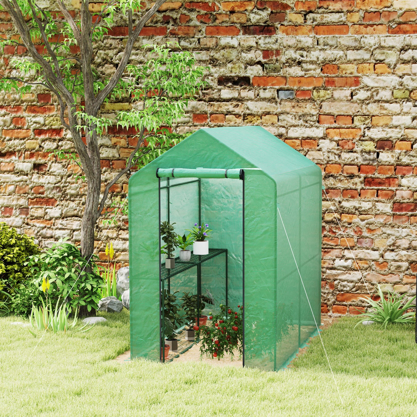 Outsunny 120 by 186cm Walk In Greenhouse With Shelves Steel Frame PE Cover Roll Up Door All Year Round