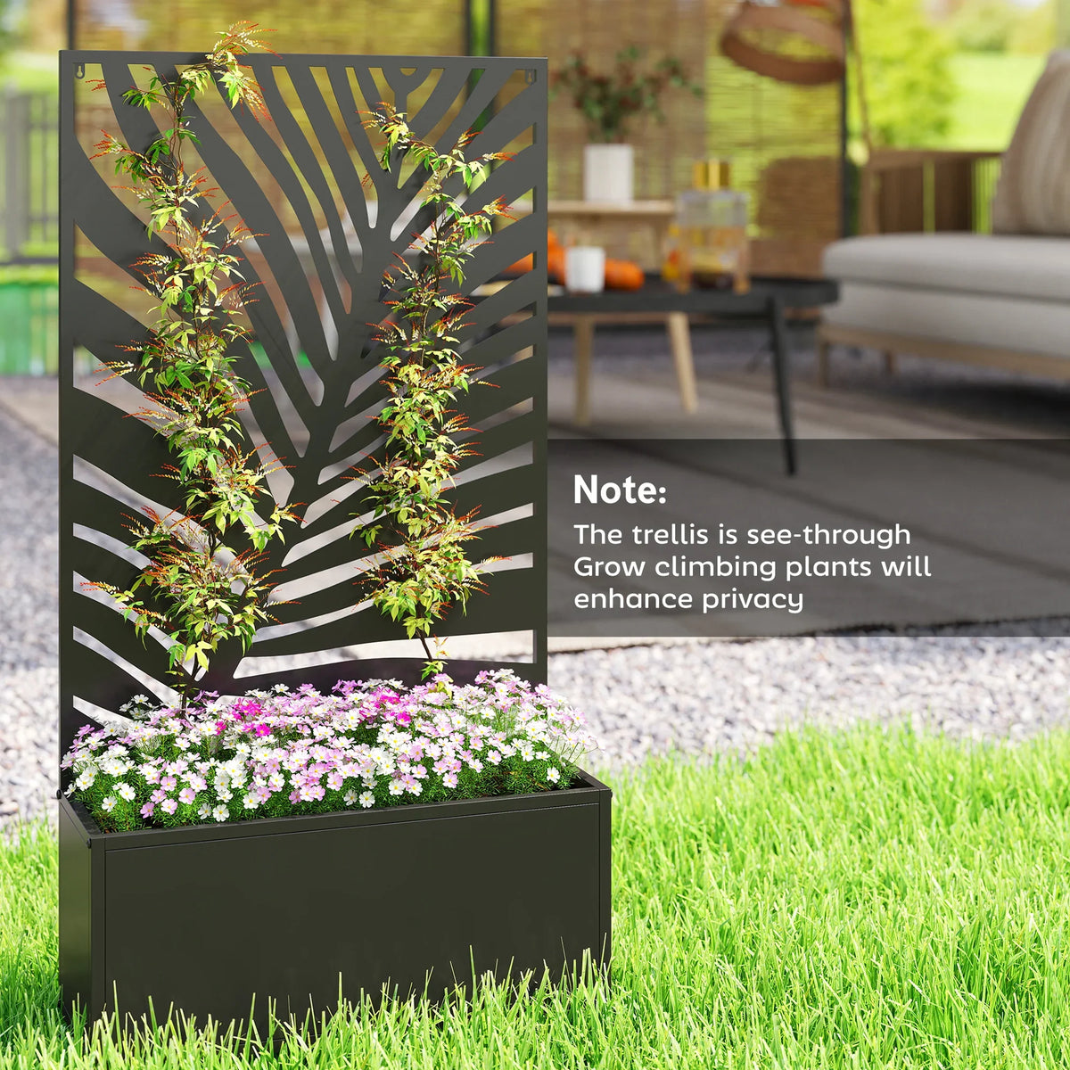 Black raised planter with see-through trellis privacy screen and blooming flowers