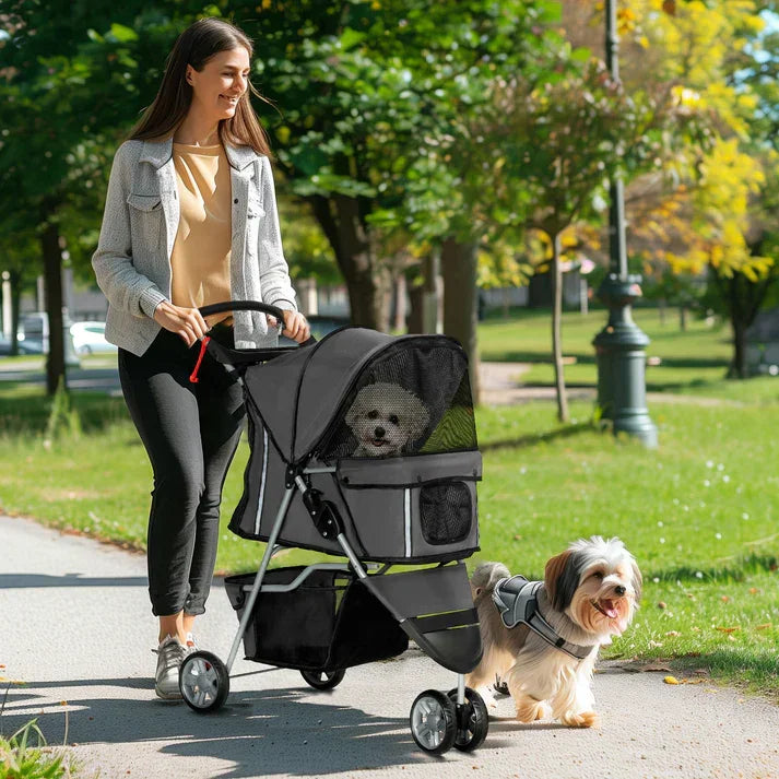Woman walking with dog stroller and small dog in park, pet travel carrier with wheels