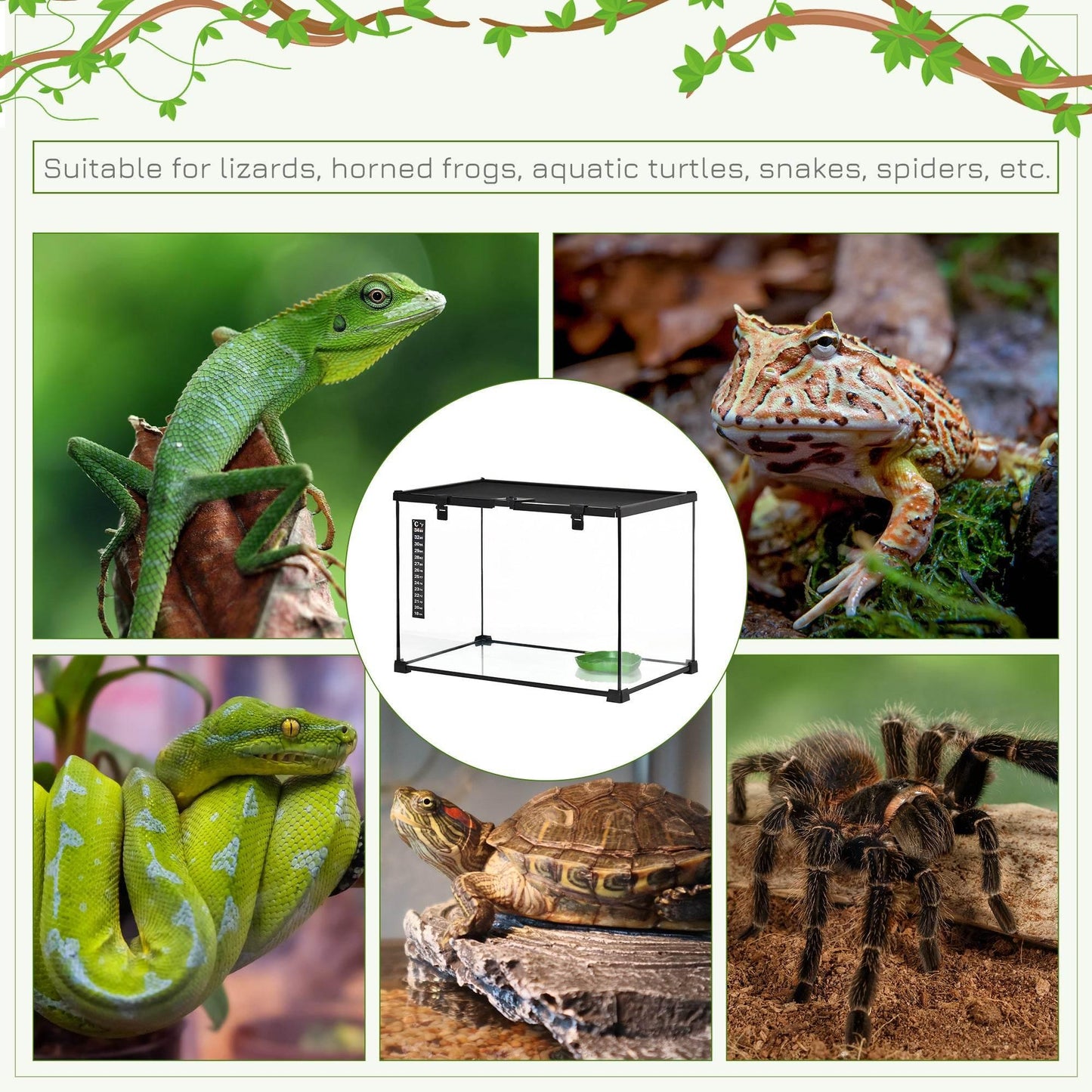 PawHut 50 x 30 x 35 cm Glass Reptile Habitat with Thermometer, Versatile Breeding Tank for Lizards, Frogs, and Snakes - Black - ALL4U RETAILER LTD