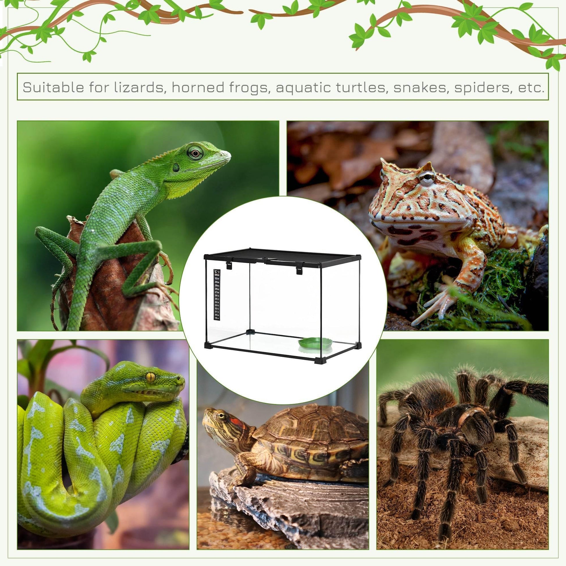 PawHut 50 x 30 x 35 cm Glass Reptile Habitat with Thermometer, Versatile Breeding Tank for Lizards, Frogs, and Snakes - Black - ALL4U RETAILER LTD