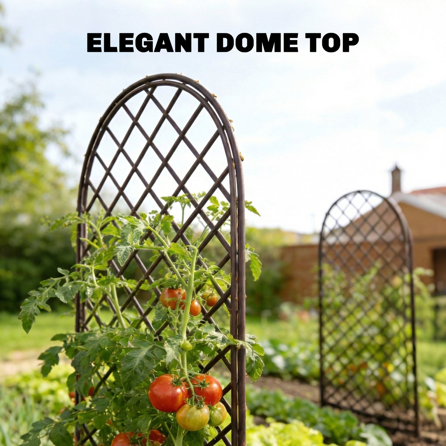Outsunny Handwoven Natural Wicker Garden Arch Trellis Climbing Plants Outdoor Patio Decor