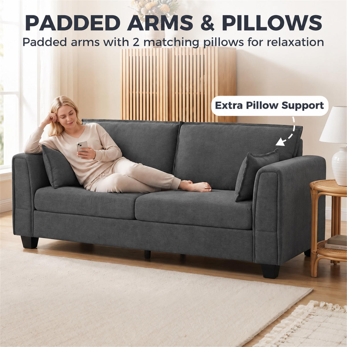 Dark grey 3-seater sofa with padded arms and 2 matching pillows for lounging.