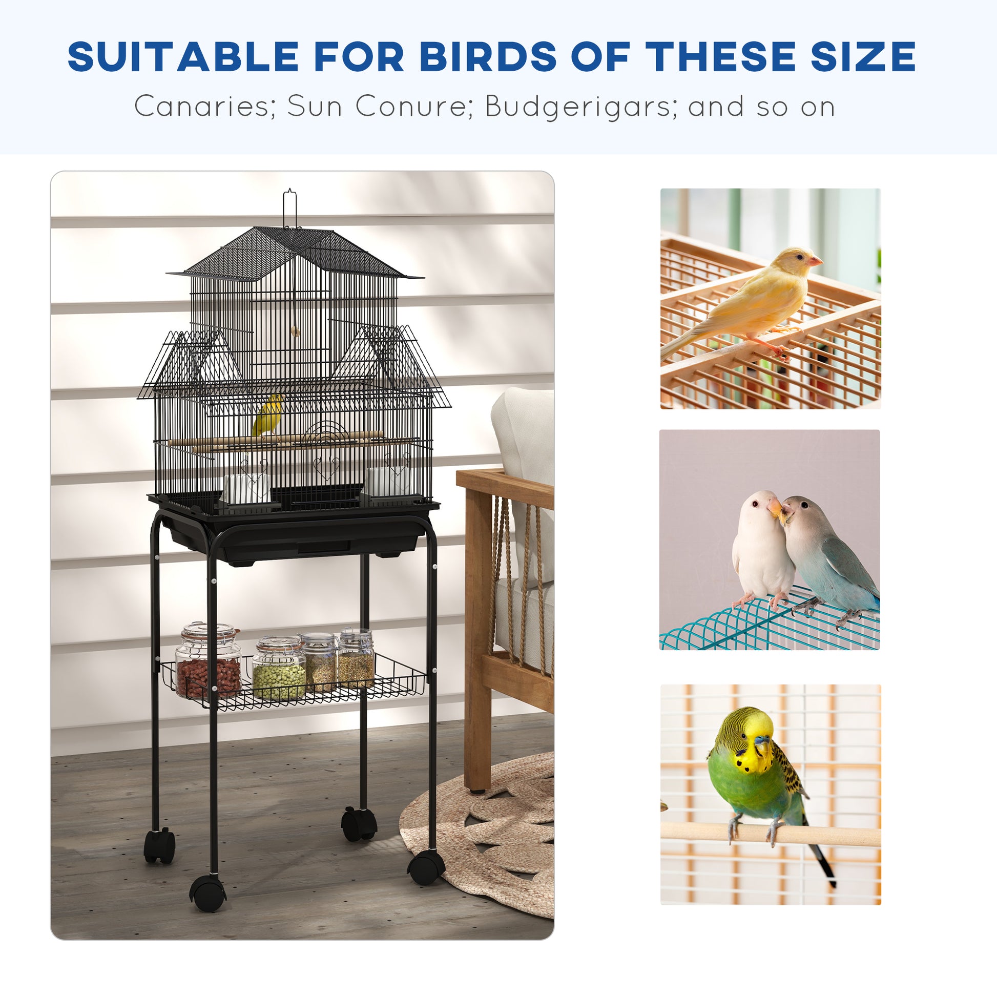 PawHut Deluxe Metal Bird Aviary with Stand, Swing Perch, and Easy-Clean Food Tray for Small Birds - 50.5 x 40 x 63cm, Elegant Black Design - ALL4U RETAILER LTD