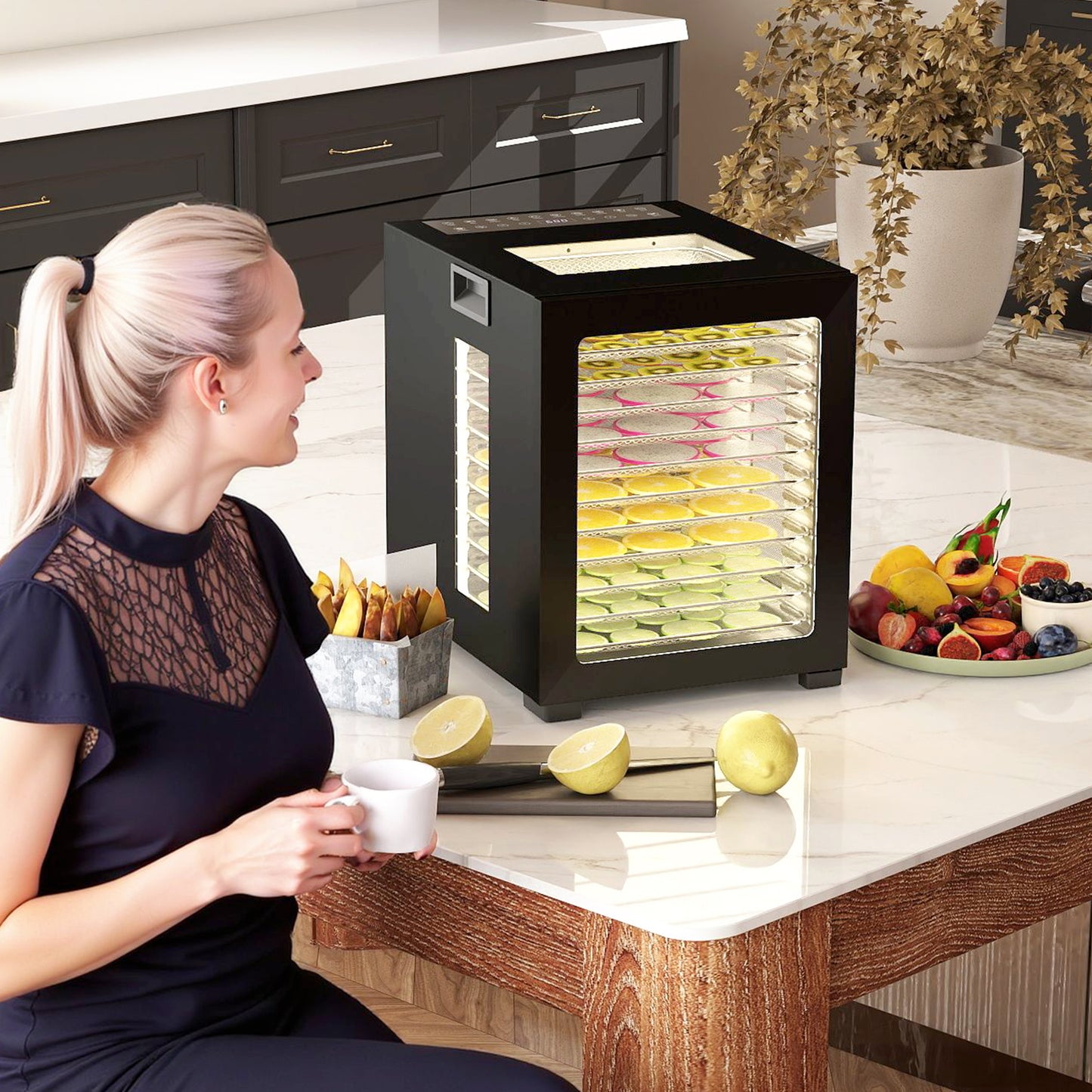 HOMCOM 12-Tray Food Dehydrator Black With Stainless Steel Trays 40 To 70 C Temperature Range