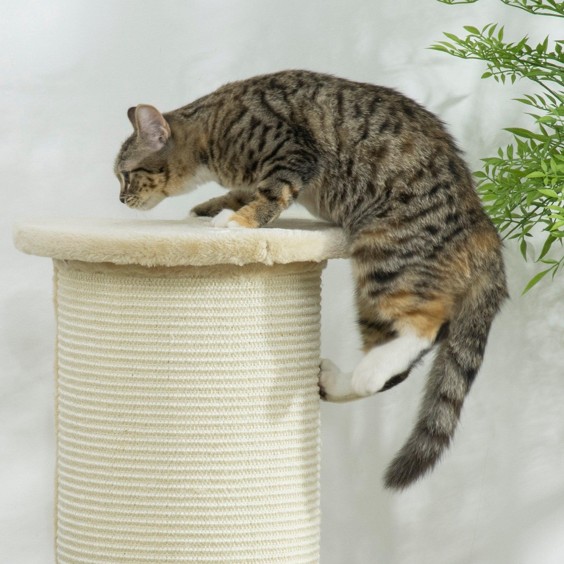 PawHut 85cm Tall Cat Scratching Post with Sisal Rope | Beige - ALL4U RETAILER LTD