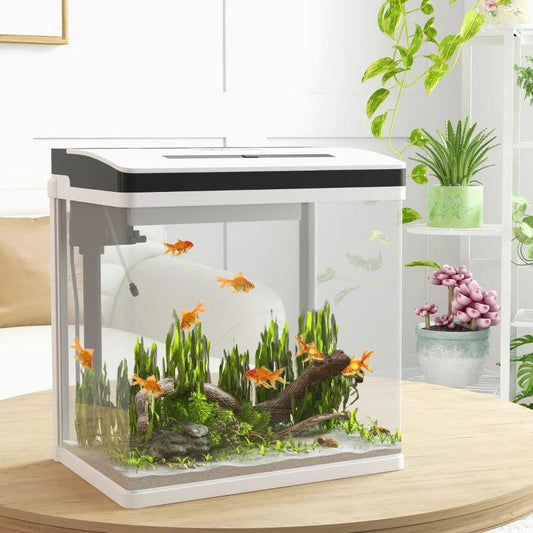 PawHut 28L Glass Aquarium Fish Tank with Filter and LED Lighting - Ideal for Betta, Guppy, Mini Parrot Fish, Shrimp - Compact Size: 38 x 26 x 39.5cm - ALL4U RETAILER LTD